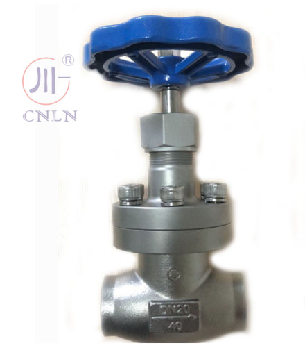 CNLN/Arman DJ61F-40P SS304/316 صمام الكرة المبردة القصير من النوع A ((DN10-100mm) لنظم LNG / LOX / LN2