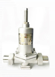 CNLN/Arman DY22F SS304/316 صمام تخفيض الضغط المشع (DN20-50mm) لأنظمة LNG/LOX/LN2 CE/ISO/EAC معتمدة