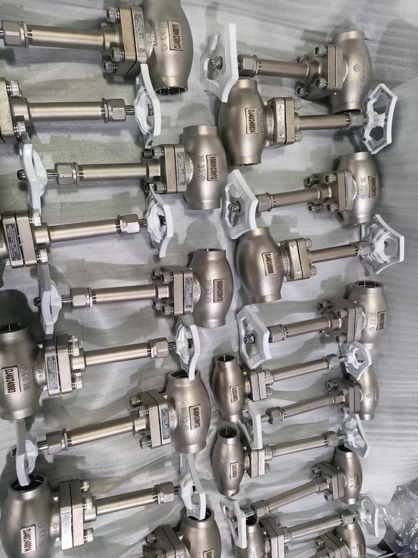 DN25 الصمام الكريوجينيكي الكريوجيني الصلب المقاوم للصدأ 304/316 مع ختم PTFE وجسم الصمام CF8/CF3 لـ -196 °C إلى + 80 °C التطبيقات