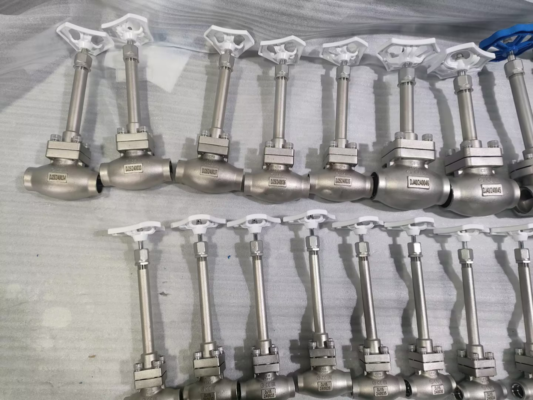 DN25 الصمام الكريوجينيكي الكريوجيني الصلب المقاوم للصدأ 304/316 مع ختم PTFE وجسم الصمام CF8/CF3 لـ -196 °C إلى + 80 °C التطبيقات